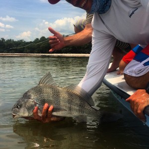 Jake, from Montana Fly Co, and I release a Black Drum.