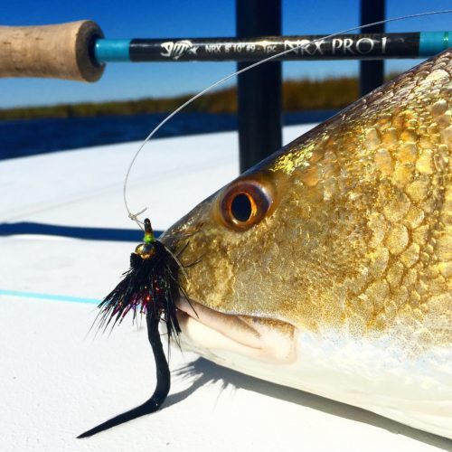 Fly Fishing for Redfish Archives